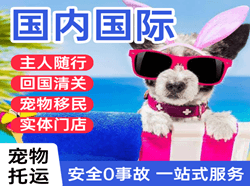 大同空运公司国际宠物托运 【国